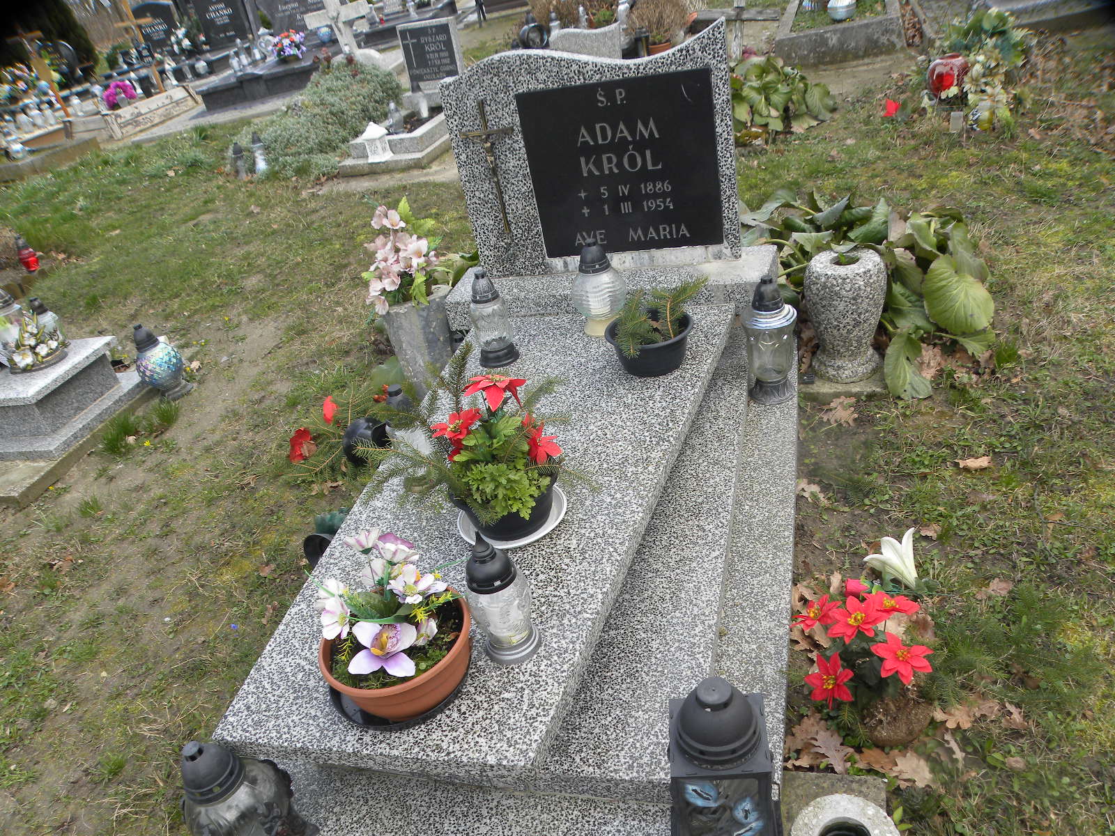 Adam KRÓL 1886 Banie - Grobonet - Wyszukiwarka osób pochowanych