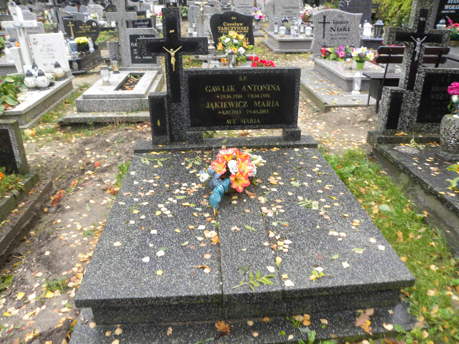 Antonina Gawlik 1904 Banie - Grobonet - Wyszukiwarka osób pochowanych