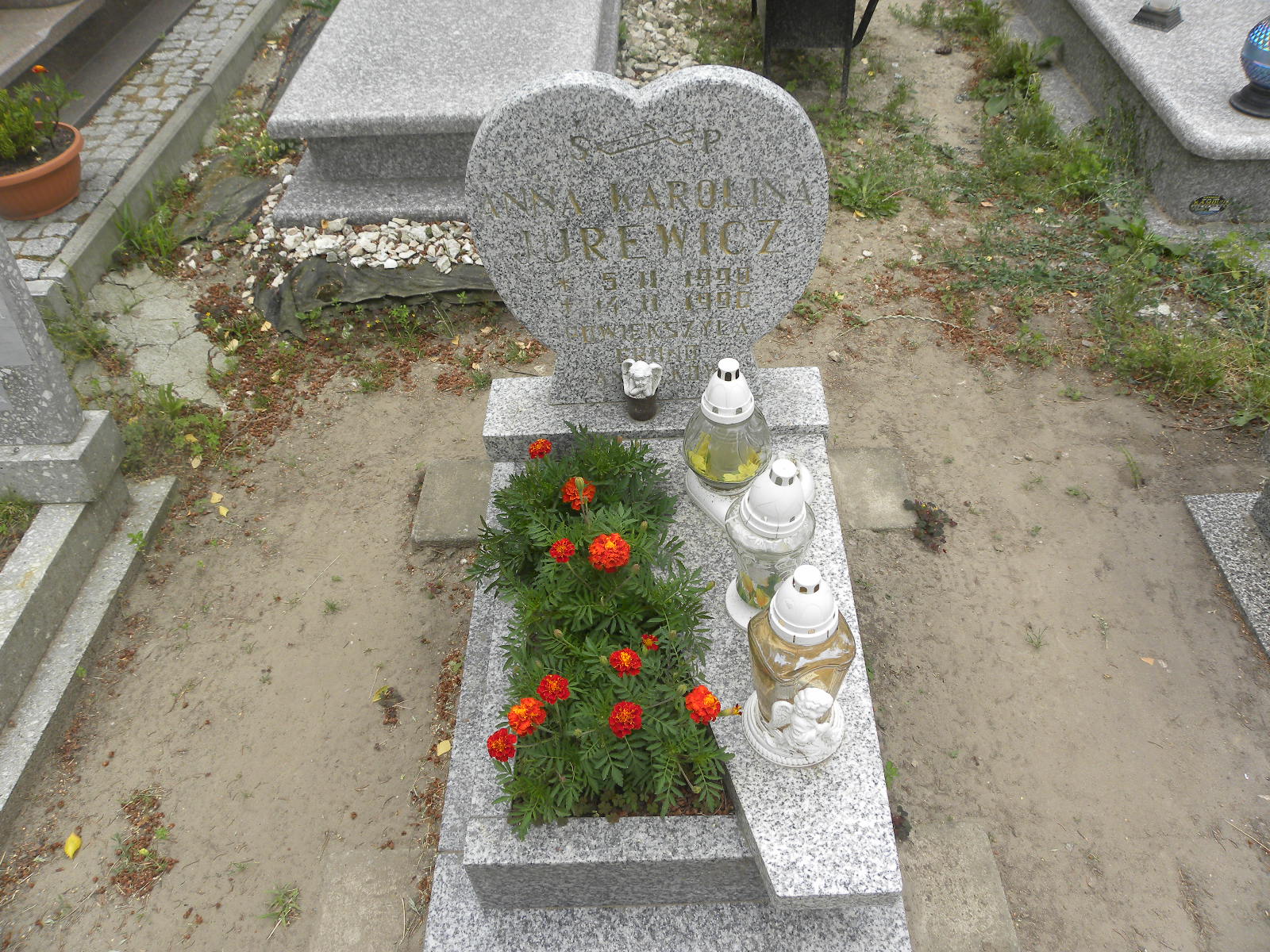 Karolina Jurewicz Banie - Grobonet - Wyszukiwarka osób pochowanych