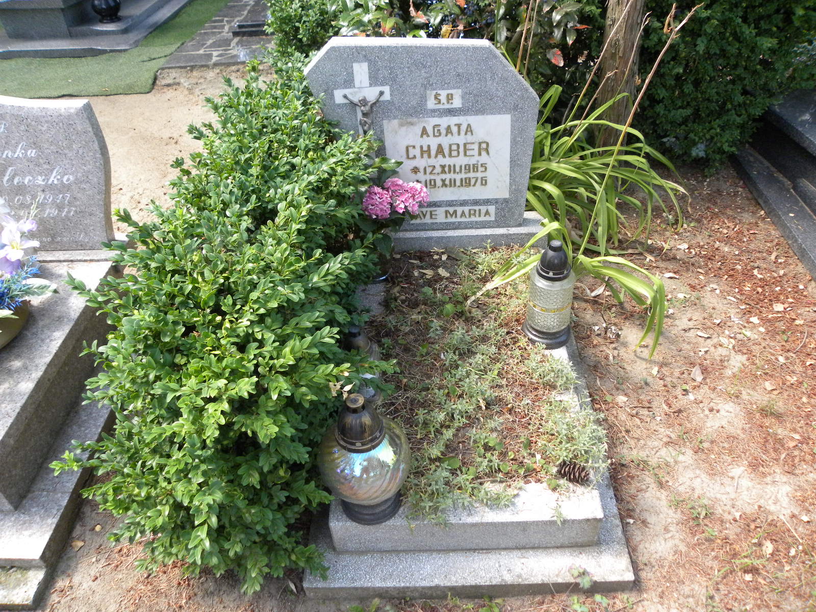 Agata CHABER 1965 Banie - Grobonet - Wyszukiwarka osób pochowanych