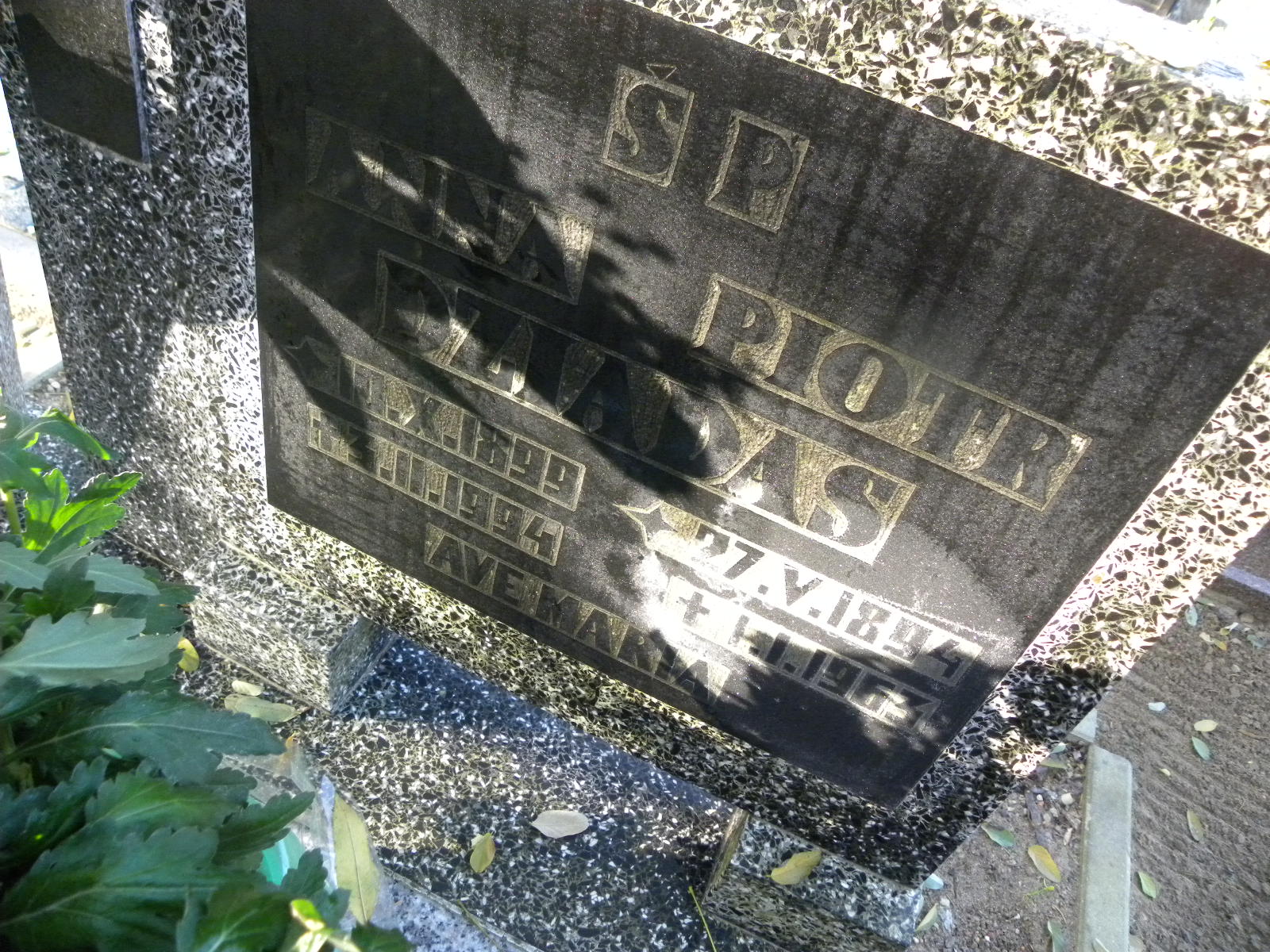 Piotr Dziadas 1894 Banie - Grobonet - Wyszukiwarka osób pochowanych